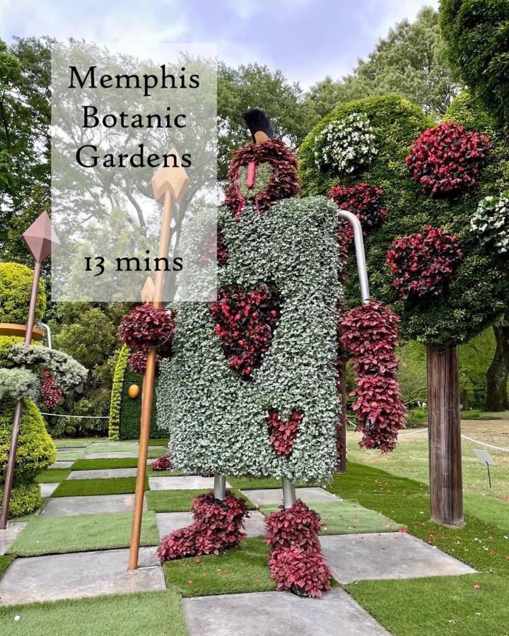 The Olive Bird Chalet In Central Gardens, Memphis Tn Buitenkant foto